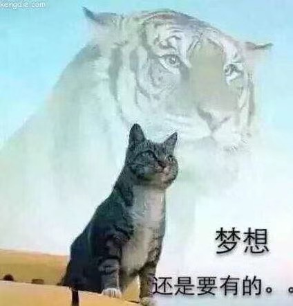 我记得研究老农飞新疆缴费几十块立减金还是2021年，马上就2026年了，时光如梭锕。

19 / 作者:小葱拌豆腐. / 