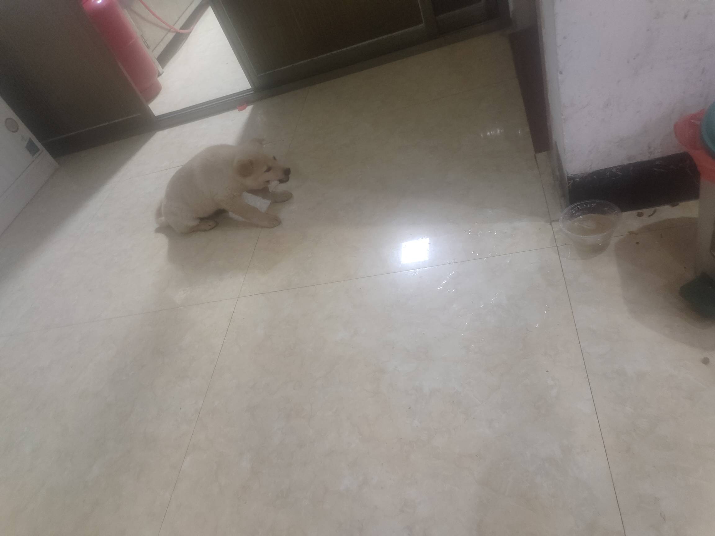 大半夜喂狗吃点僵尸肉

21 / 作者:要辩难辩 / 