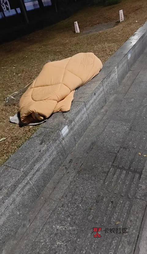 兄弟们，我扛不住了！

11 / 作者:朱铁胆 / 