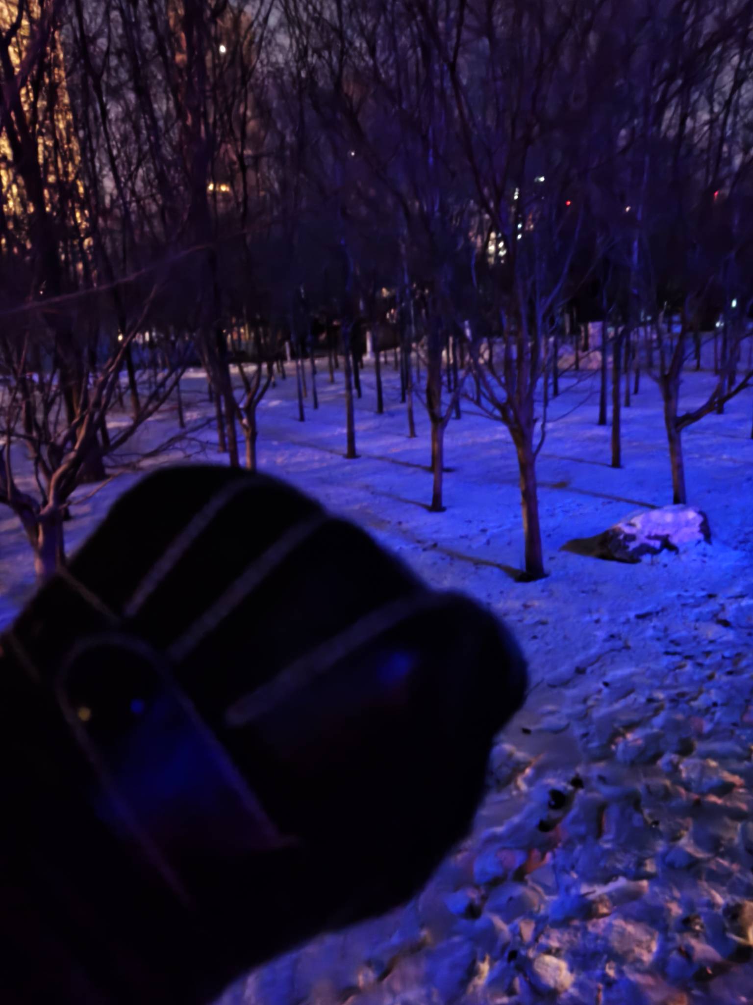 挂壁公园，想申请毛住挂壁房



77 / 作者:番茄炒土豆 / 