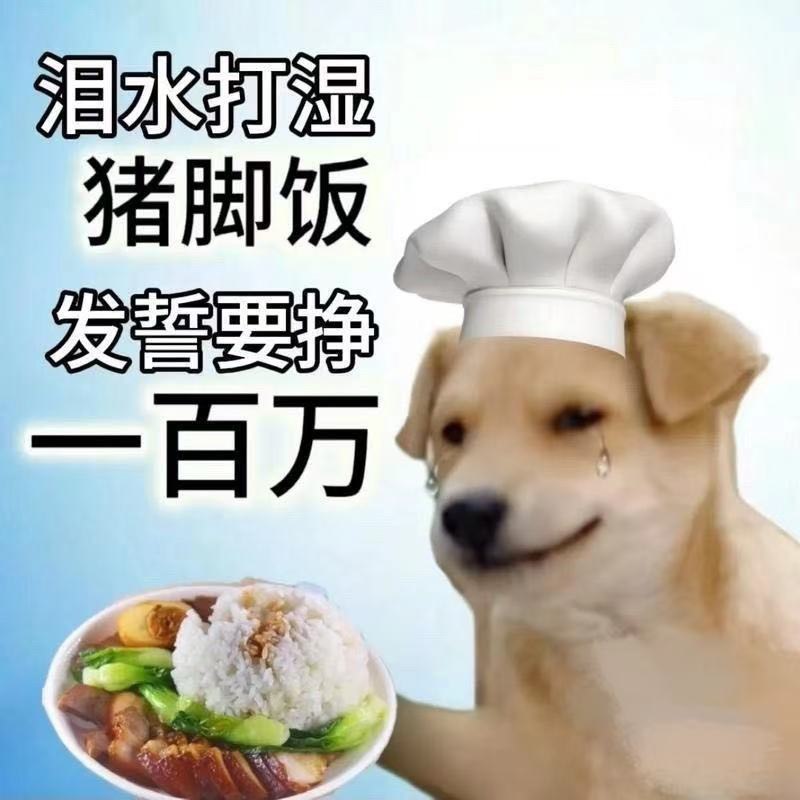 从年头躺到年尾，一天班没上 活过来了，也是牛，转眼马上又过年了，哎。每天靠几块羊94 / 作者:温暖. / 