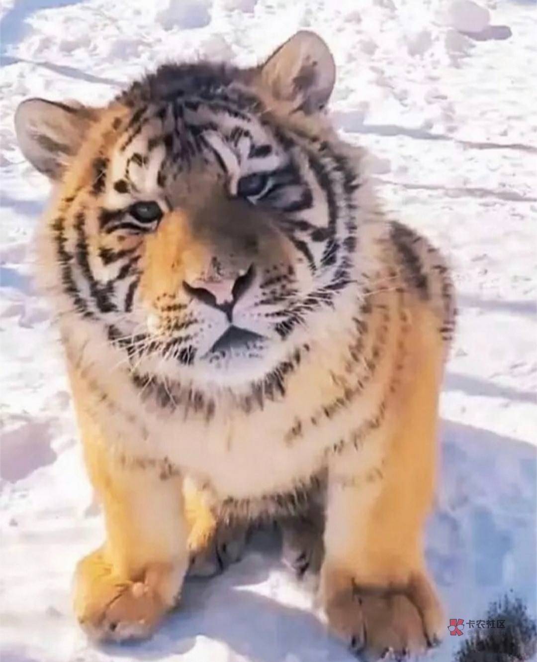 沙必活动，给我干江苏了，我明明是广东挂壁仔啊，



70 / 作者:天桥下面好冷 / 