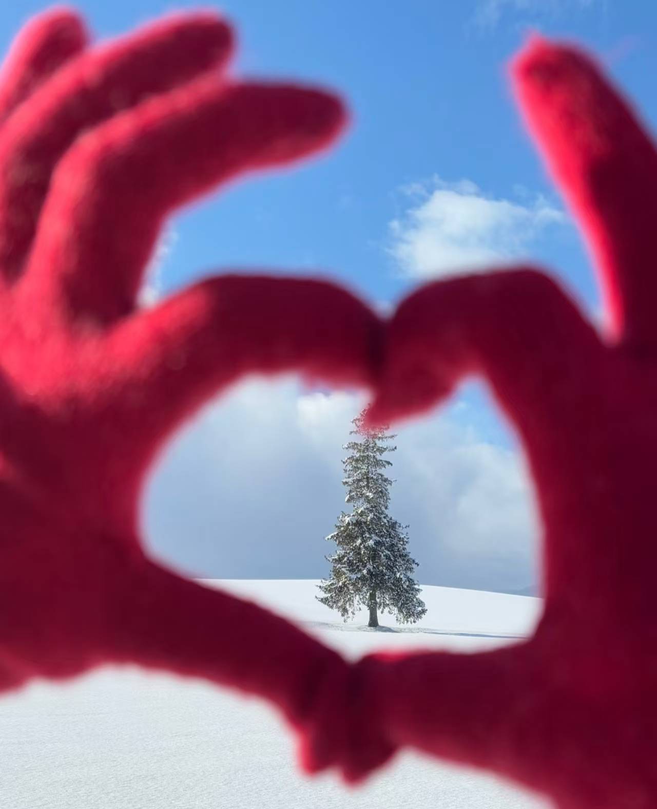 老哥们明天就跨年了，2024陪你一起跨年的那位还在吗

54 / 作者:昼夜寻觅 / 