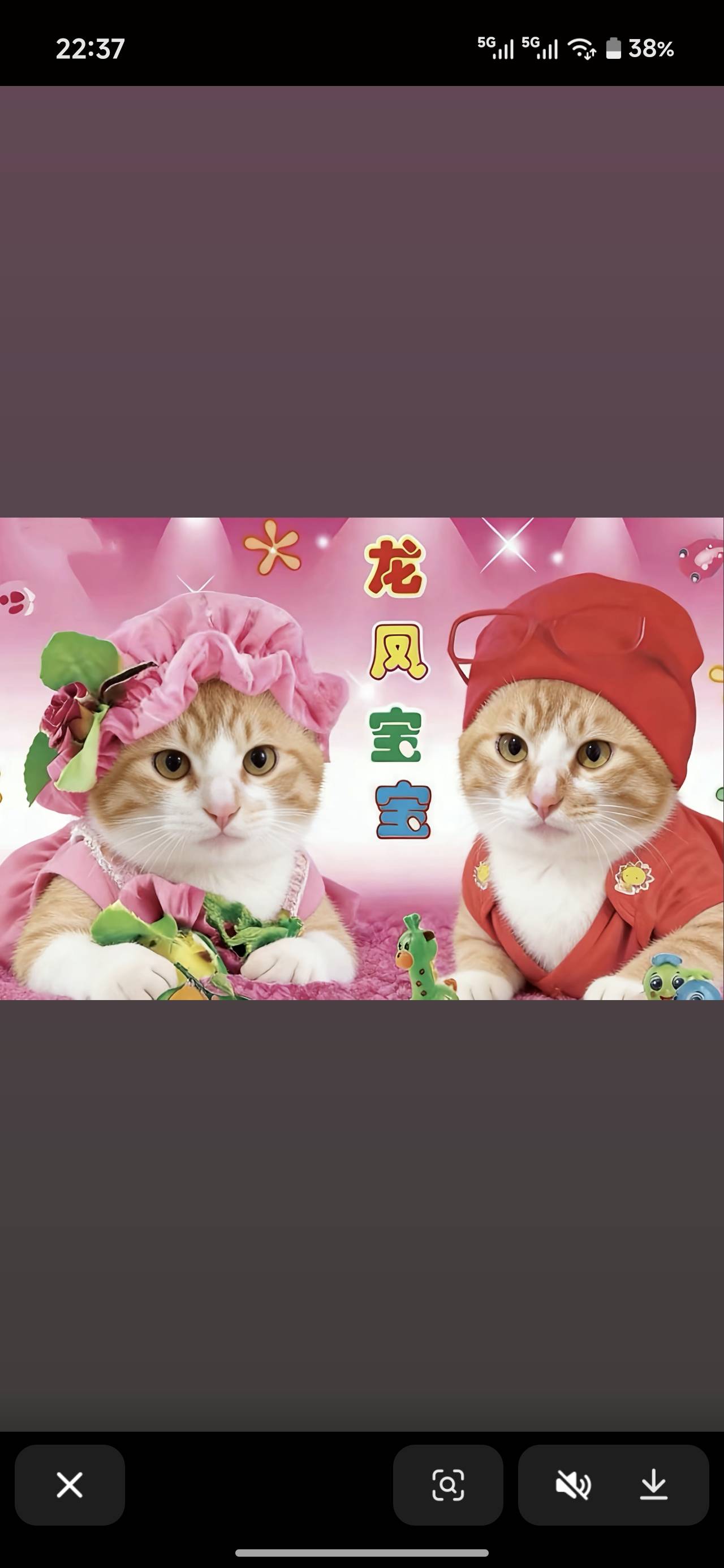 老哥们，我记得卡农以前是不是有一个出游戏号找回，被平台线下真实的，是我记错了么

64 / 作者:苦难yt / 