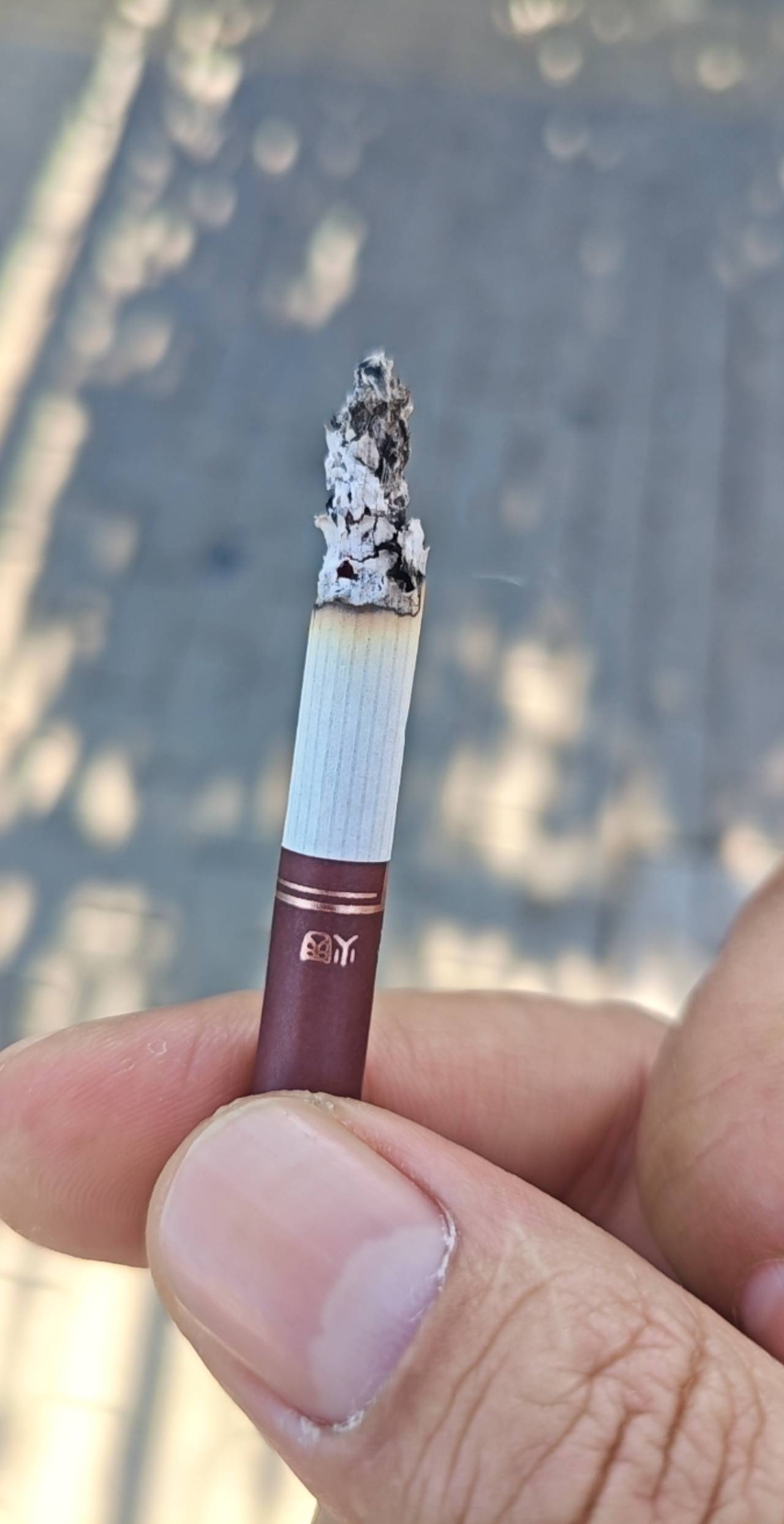 这是啥烟呀  别人给我一只

83 / 作者:打倒小日本 / 