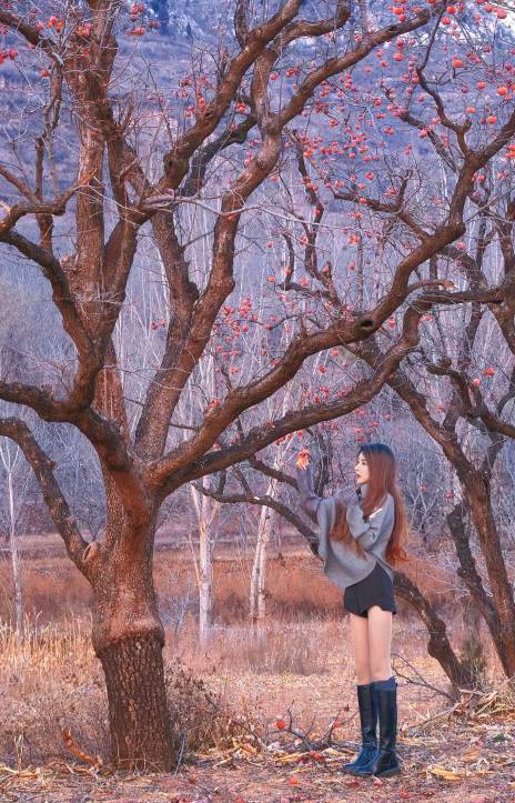 祝各位老哥2026，家和万事兴，心想必事成！
不求大富大贵。只求比2025挣的多，过得强32 / 作者:白白爱白羊う / 