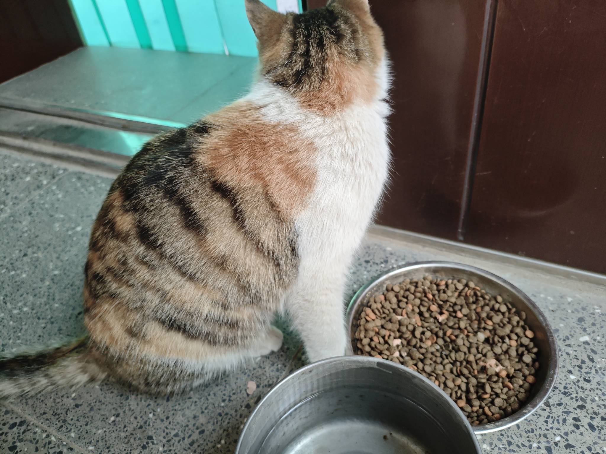 咱大哈朝，只有一个人可以南北绿豆，那就是哈皇，也只有一个人可以曼波，那就是本基米28 / 作者:苦难yt / 