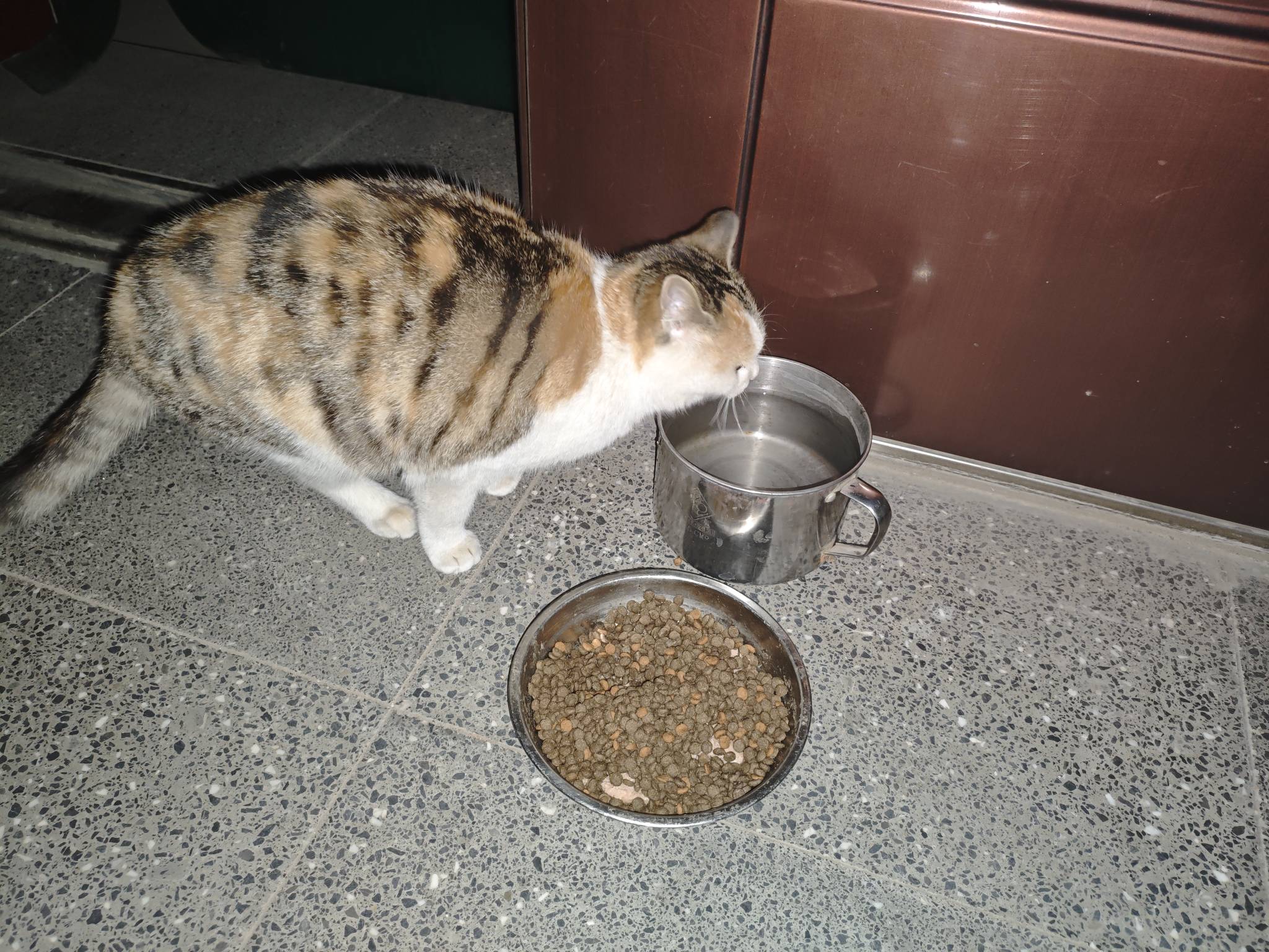 咱大哈朝，只有一个人可以南北绿豆，那就是哈皇，也只有一个人可以曼波，那就是本基米23 / 作者:苦难yt / 