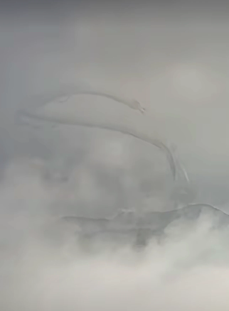 新年安康，争光追星，新的一年祝老哥们鹿毛无止境，大毛永相随，盖楼8/18/88/人人8.885 / 作者:撸界至尊 / 