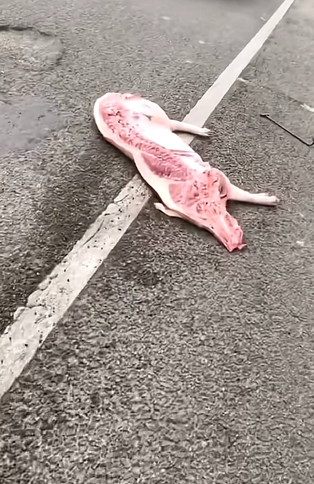 老哥们，要不要捡啊。

36 / 作者:卡农派大星 / 