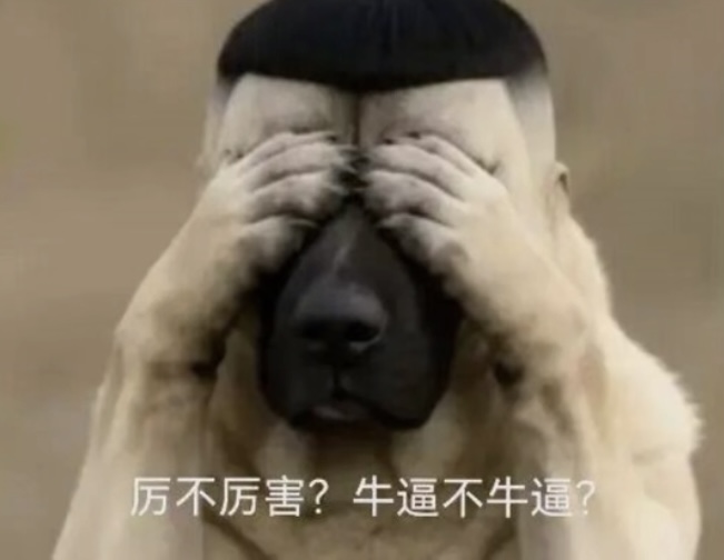 新年好 老哥们

39 / 作者:搬砖人啊 / 