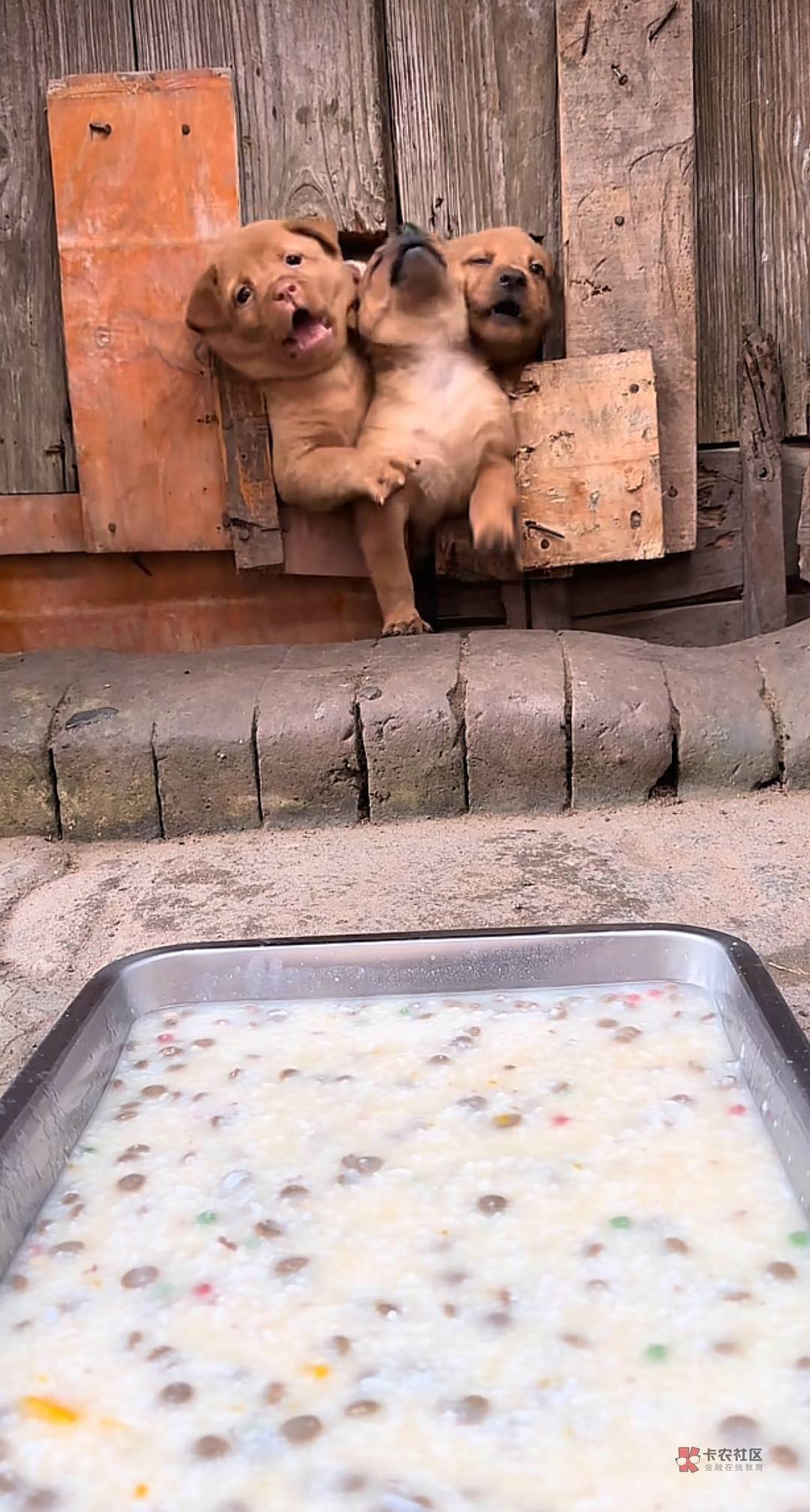 2026年的一场雪，
比以往时候来的更早一些，
停靠在八楼的二路汽车，
带走了最后一个8 / 作者:★举重冠军高坚果★ / 