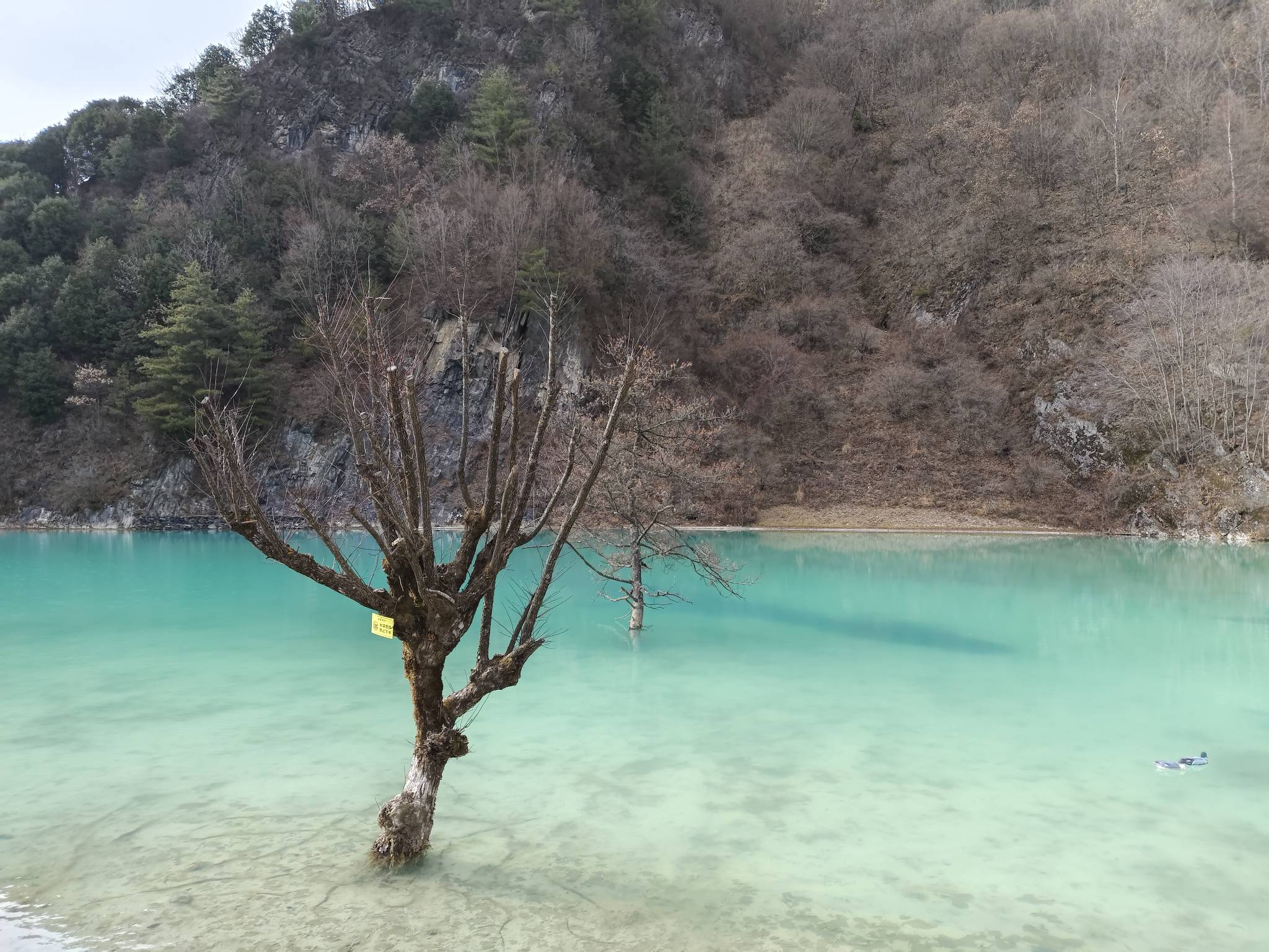 同程酒店 15

6 / 作者:你好麻花腾啊 / 