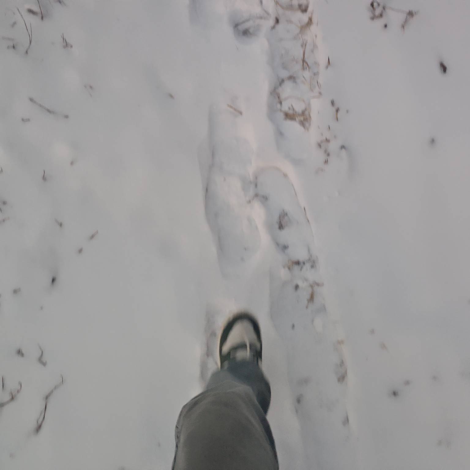 老哥们，雪天路滑，出行注意安全


97 / 作者:苦难yt / 