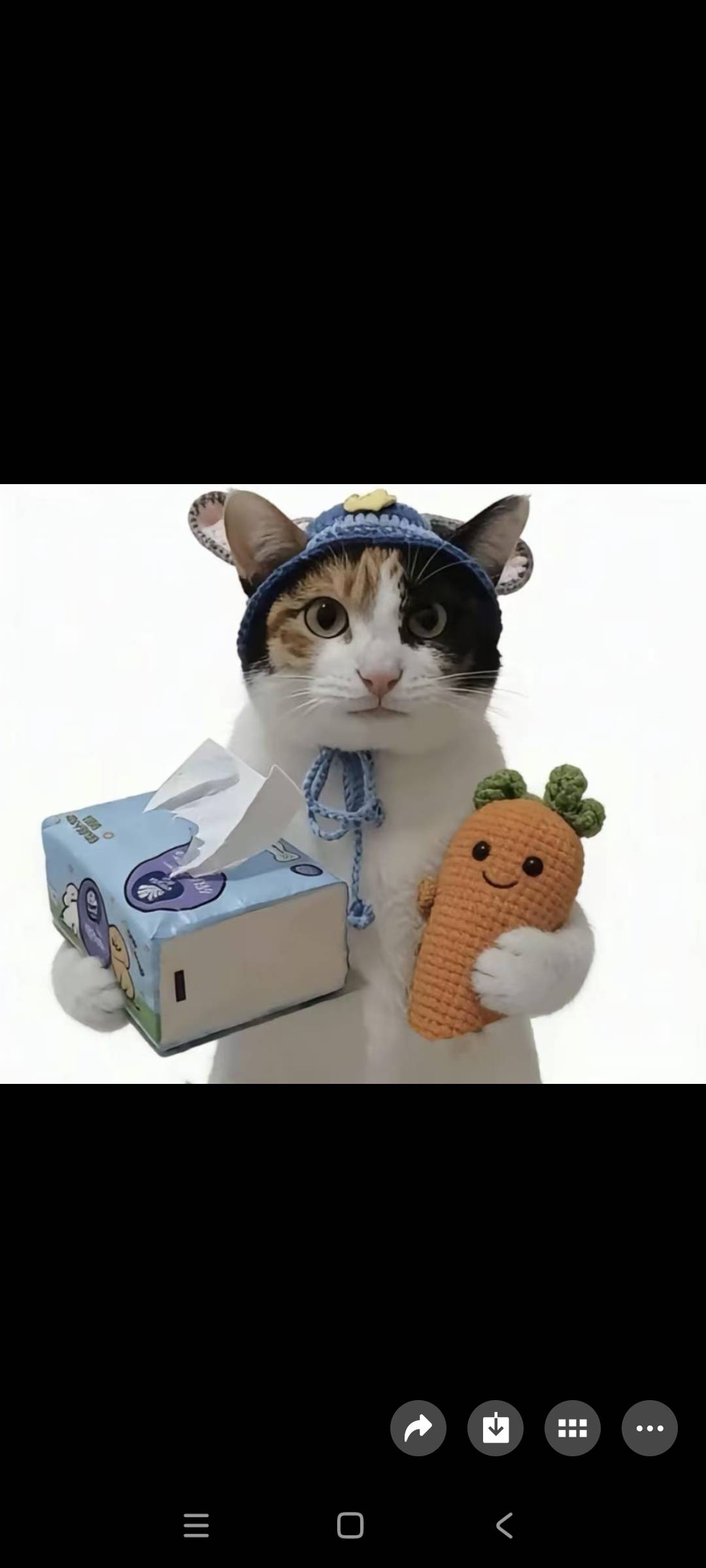 一天申请六七十块钱是完全可以达到的，所以一个月下来能申请个一千多块钱，甚至一天有61 / 作者:我德吗亚 / 