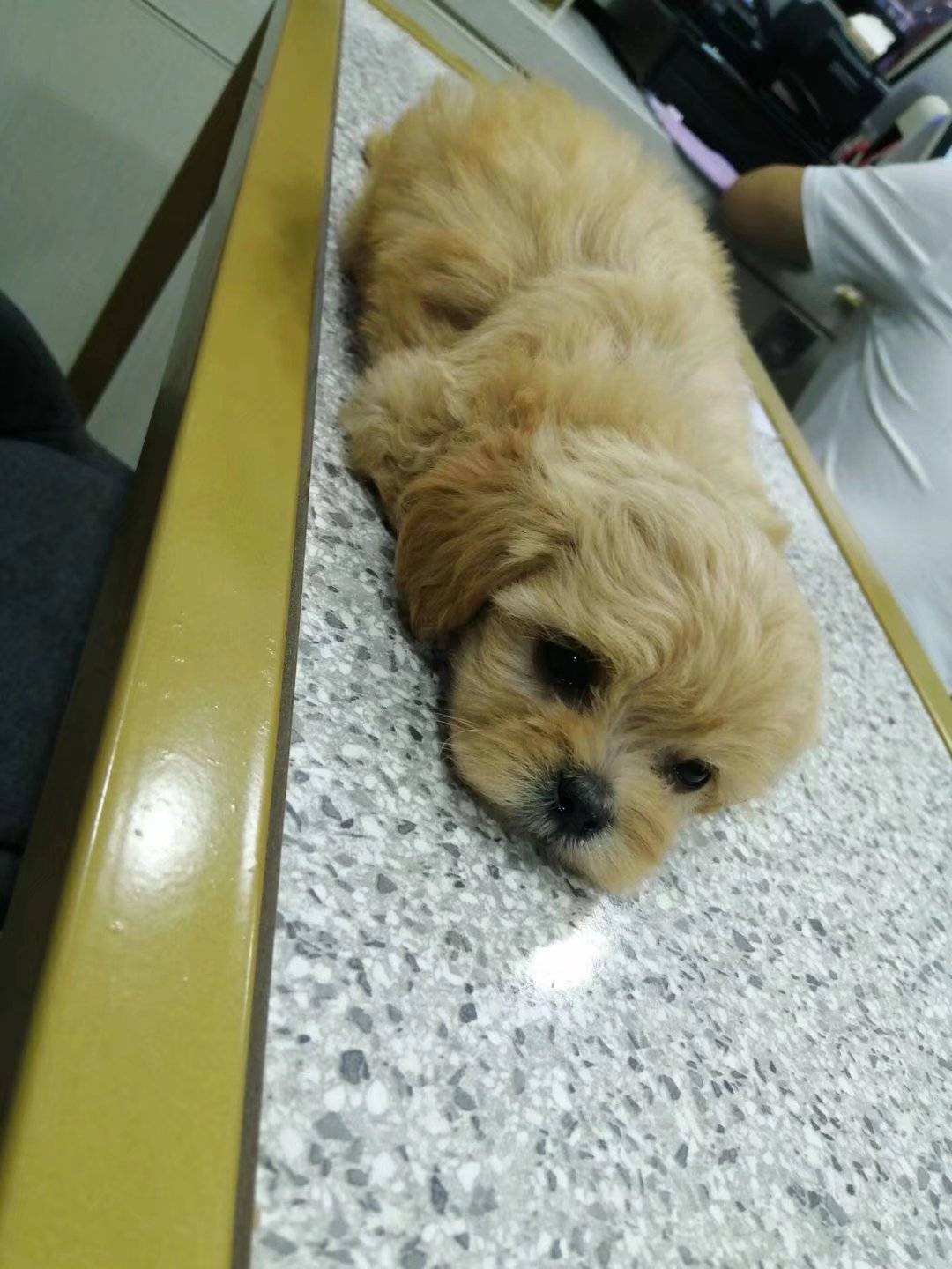 富镇50-10今年还有吗

83 / 作者:呆囧木木 / 