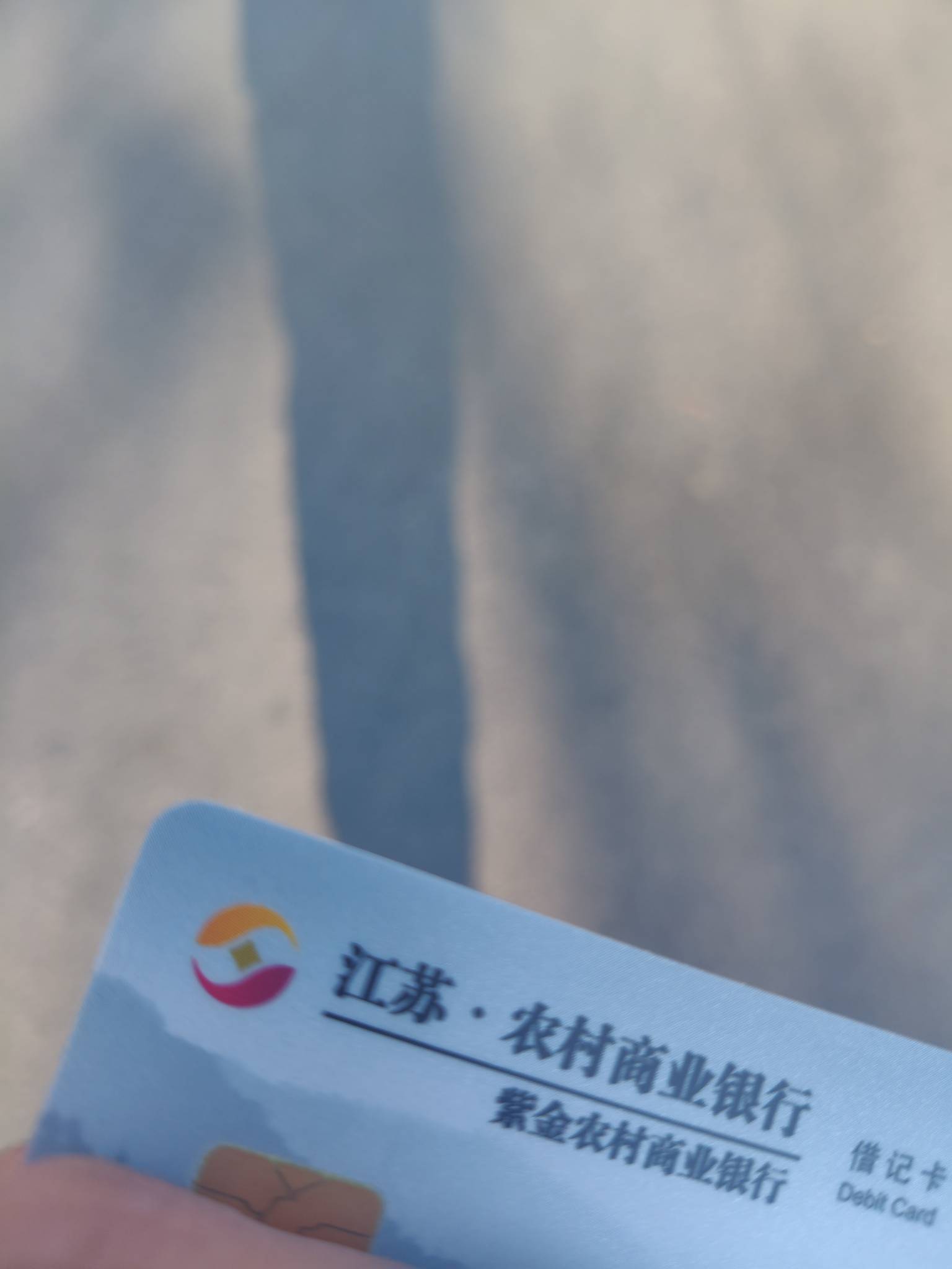 新开的野鸡行，紫金农商行

30 / 作者:鹅鹅鹅鹅的神 / 