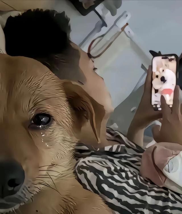 初二还是0收入

82 / 作者:不愿面对嘚回忆 / 