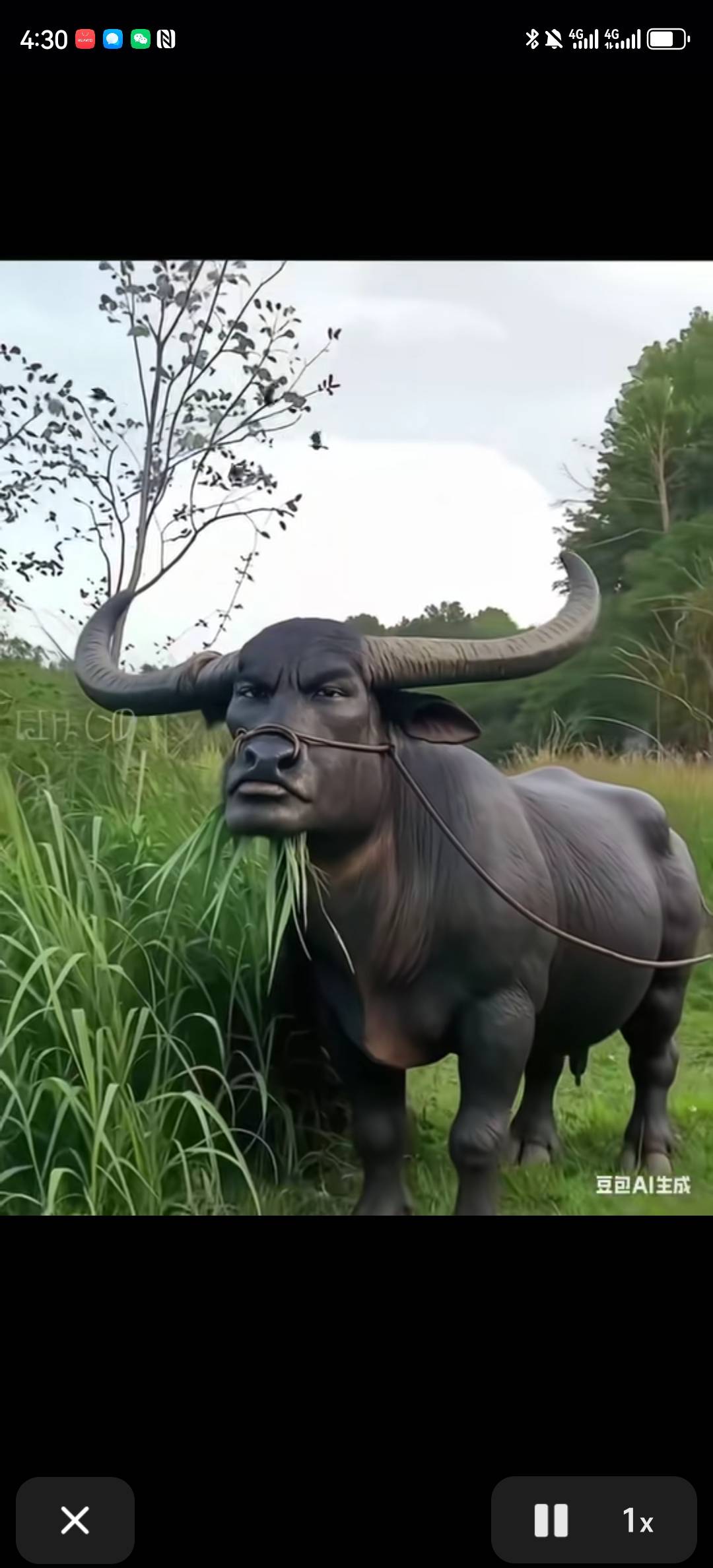 新疆银行也异常了，搞催子啊

44 / 作者:湖南陈小春 / 