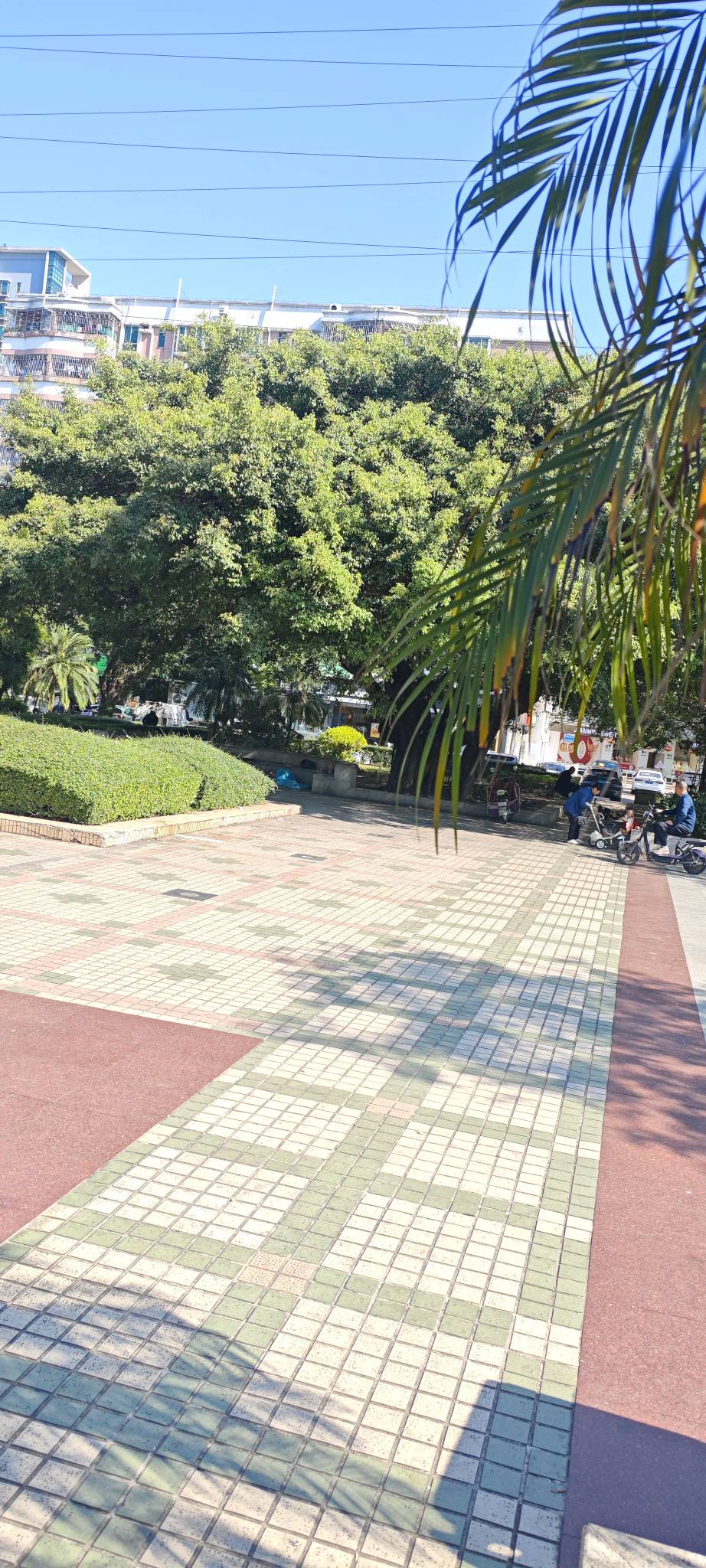 新疆是所有人都能开卡还是只能新兵蛋子？

33 / 作者:卡农豆包 / 