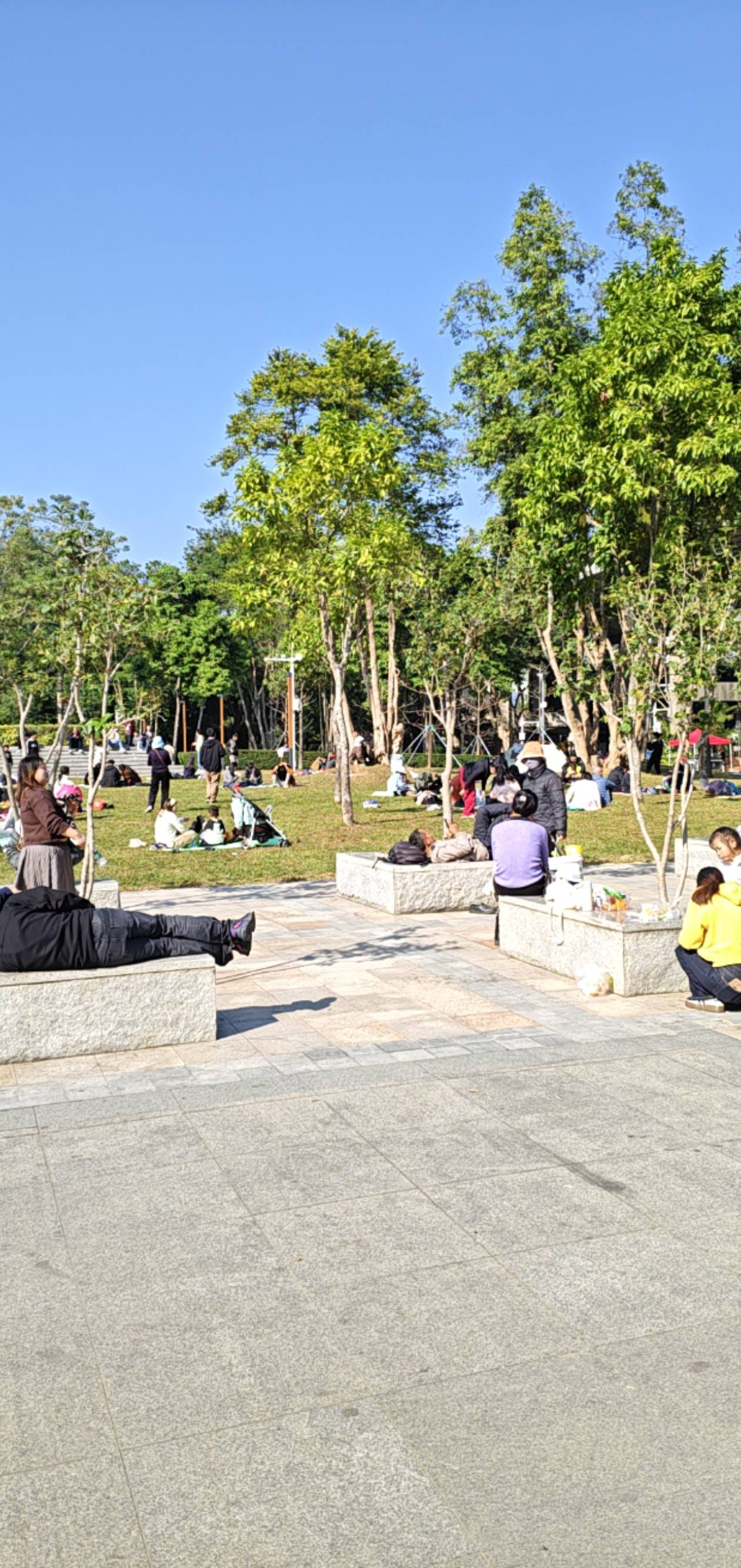 真么多没有毛了，老哥们不出去晒太阳吗
83 / 作者:早餐不宜空腹 / 