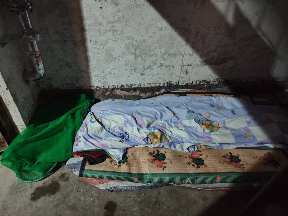 刚刚lj桶捡了别人不要的被子又脏又臭，但是没办法，又找了个人少的老小区楼道，今晚就41 / 作者:当狗不丢人 / 