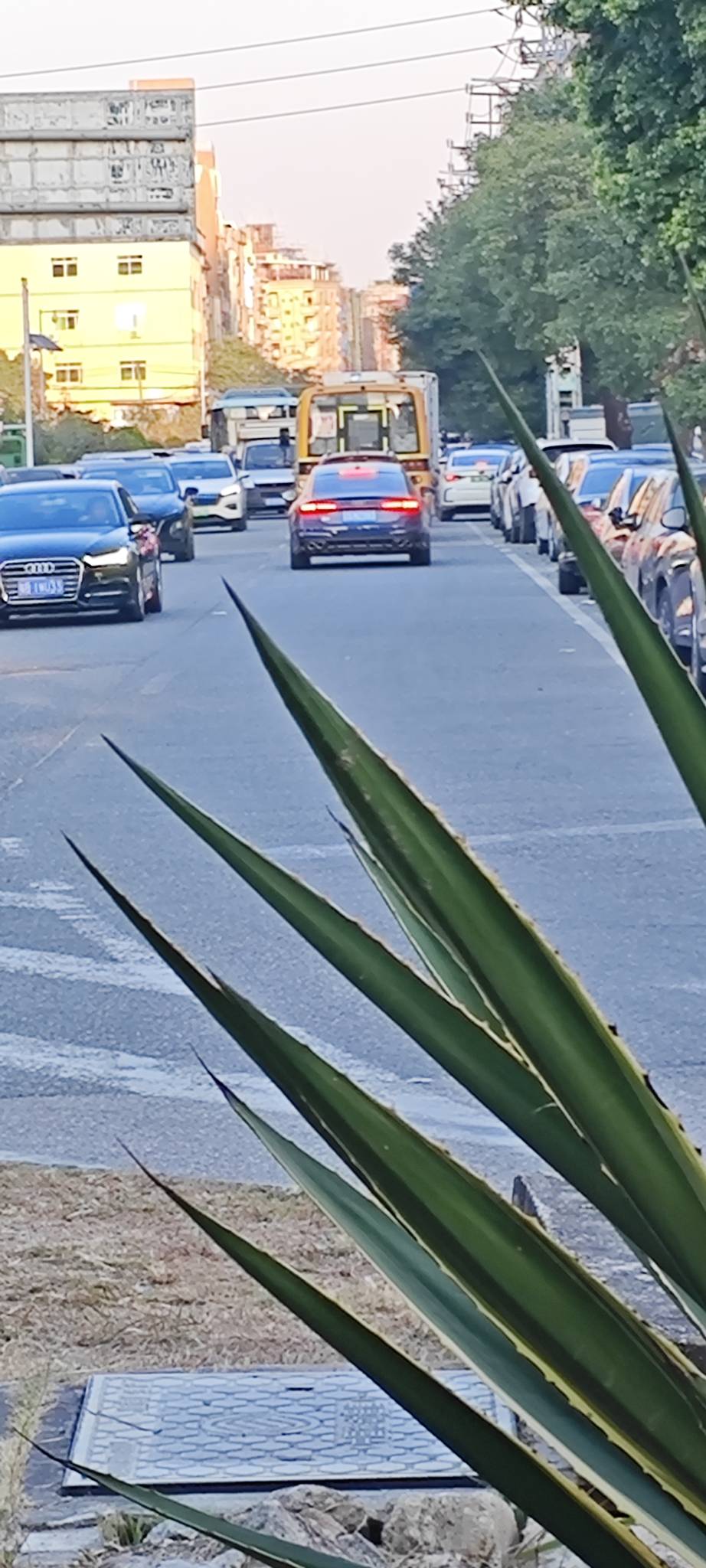 老哥们，我感觉这黄色的这种校车真的危险，他不管是拐弯还是路口本不减速的

9 / 作者:卡农豆包 / 