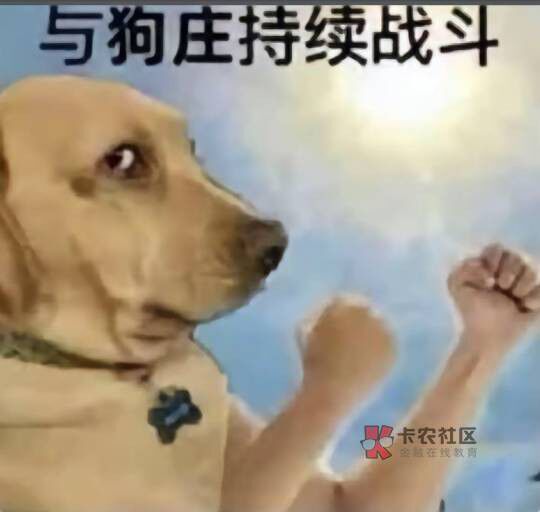 怎么感觉不打勾比打勾的时候更穷了呢

6 / 作者:文迪. / 