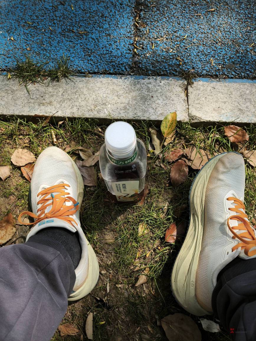 今天太冷了，不想拿出来，什么时候回暖？

1 / 作者:朱铁胆 / 