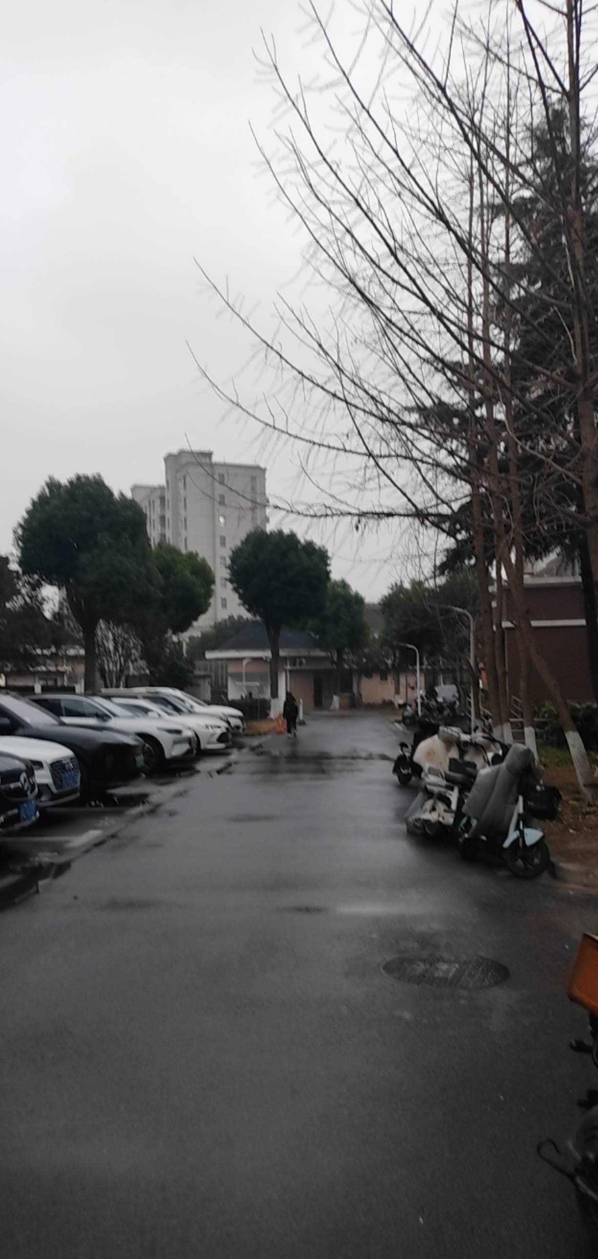 哥们还在梦乡里被窝里，我就要出去干活了，心里好难过，苦命人，申请毛都是低保，被迫67 / 作者:★举重冠军高坚果★ / 