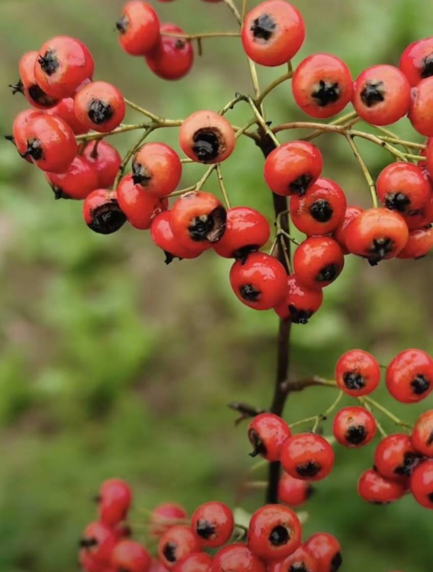 人人5个，有钱人早已攻占了穷人的最后一片净土，老哥们你们lu个饭钱他们都抢，真老哥12 / 作者:浪子☜ / 