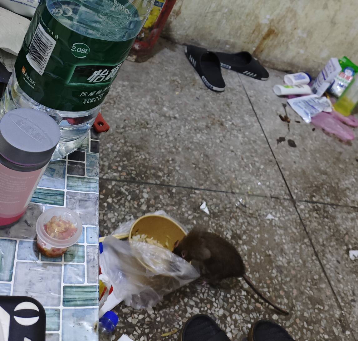 老早我就说过了，现在搞羊毛的都是有存款，有工作，甚至有家庭的，真的老哥没几个了，55 / 作者:秋隔一日 / 