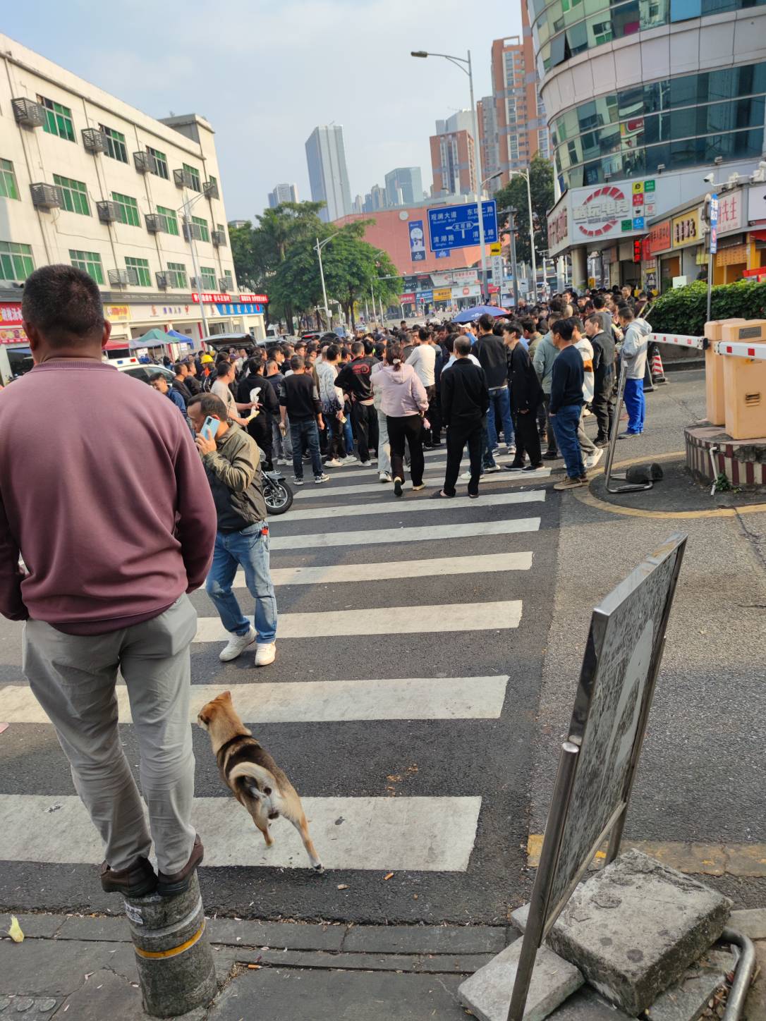 老哥们好饿昨天就吃了一个泡面

3 / 作者:梦回大唐做王爷 / 