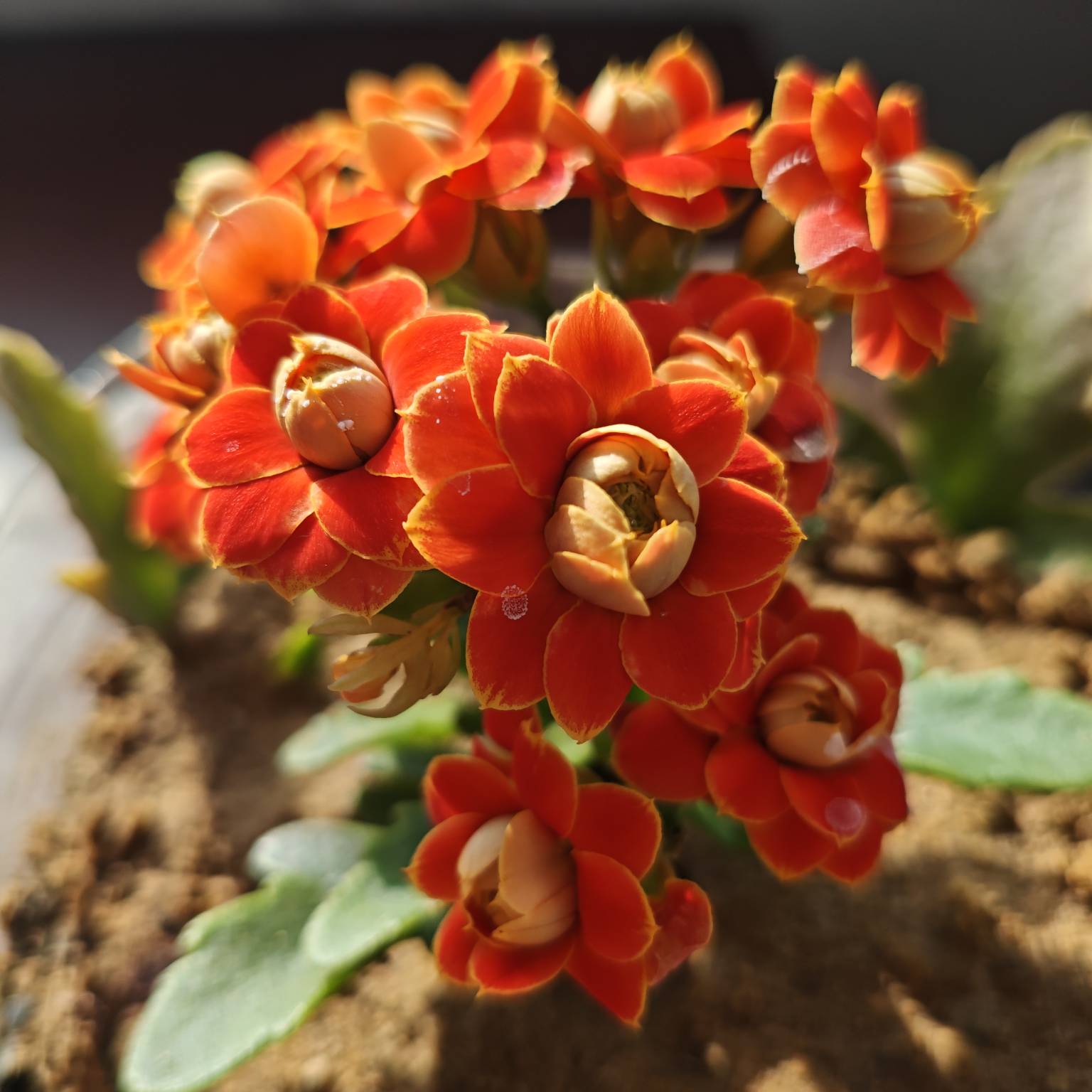 刚睡醒，老哥们又被老哥套路了？就不能同心协力一起举报他维啊，太不地道了，老哥撸老29 / 作者:苦难yt / 