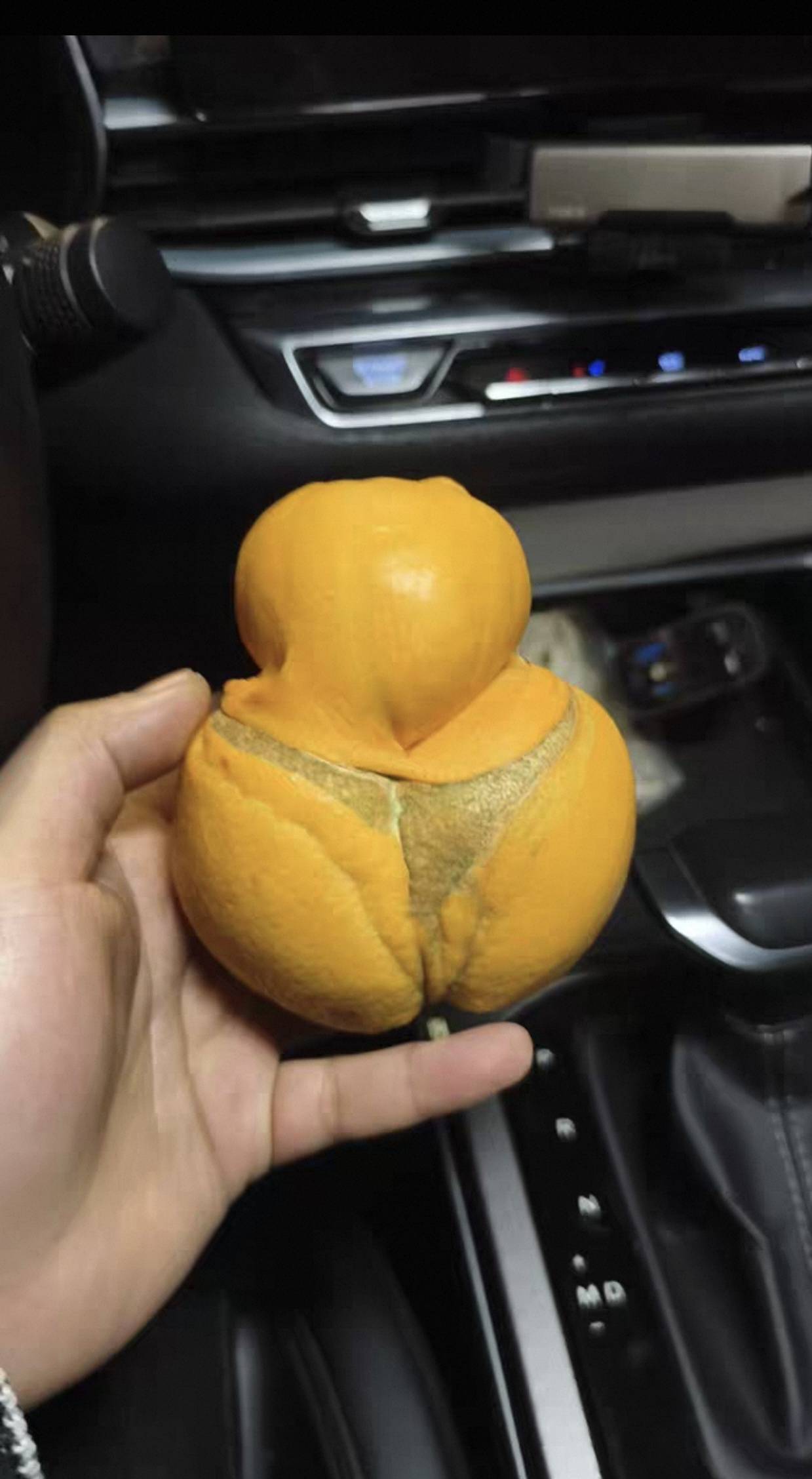 南航这波又让老哥们吃的满嘴流油了吧

25 / 作者:好HHHH / 