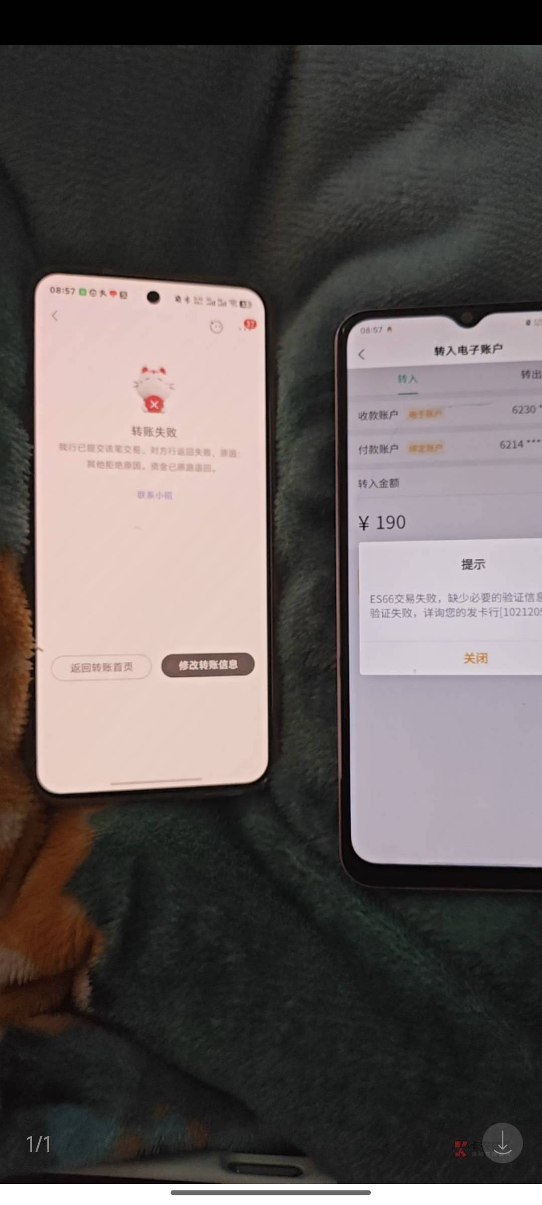 农行三类电子卡正常户，转入转不进去 ，绑定卡YHK转和云闪付转都不行，这是怎么啦我去55 / 作者:蓝帽子 / 