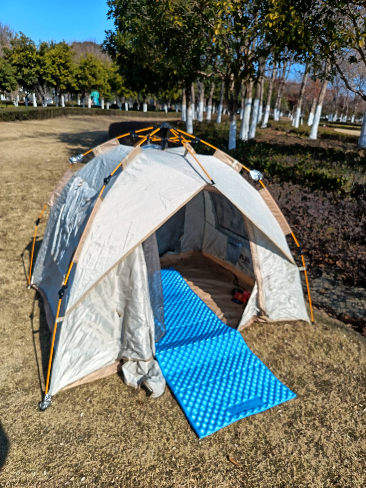 老哥们都吃上拼好饭了嘛？有没吃上的我发一个毛

23 / 作者:流浪锅 / 