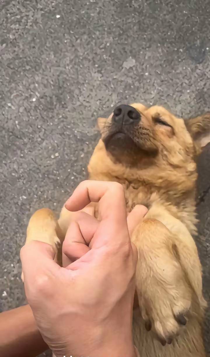 中信你们怎么都有入口，我怎么没有

89 / 作者:人死鸟朝天 / 