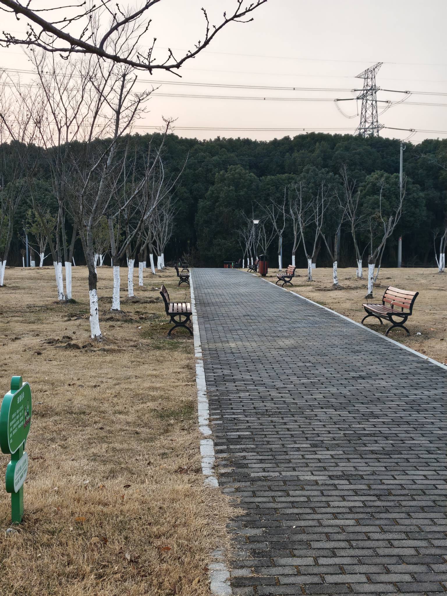 空了这么多床位

93 / 作者:应无所住 / 