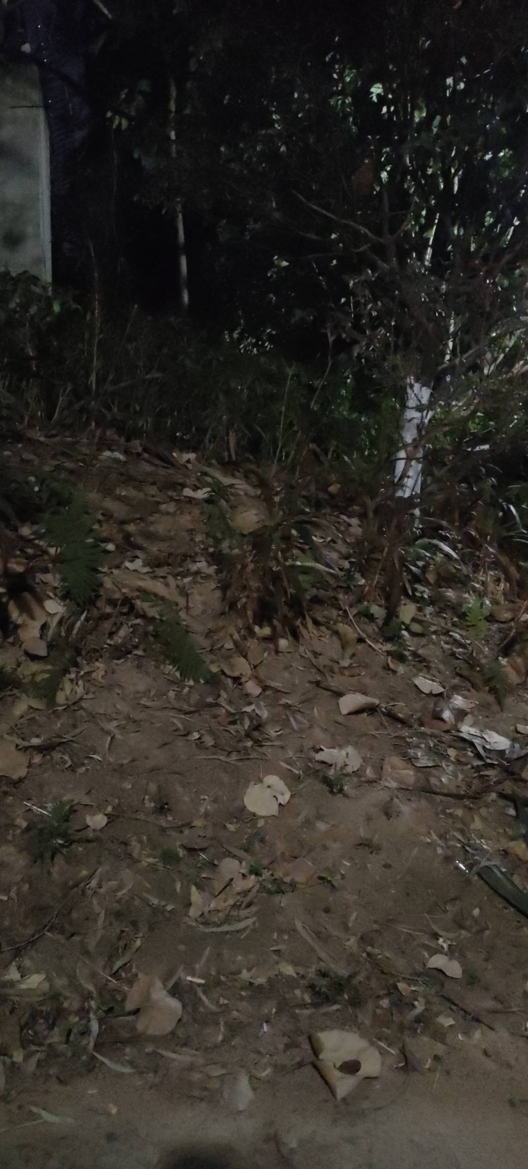 2026年开年就这么挂壁了，中后年不敢想有多惨

54 / 作者:扛不住了老哥们 / 