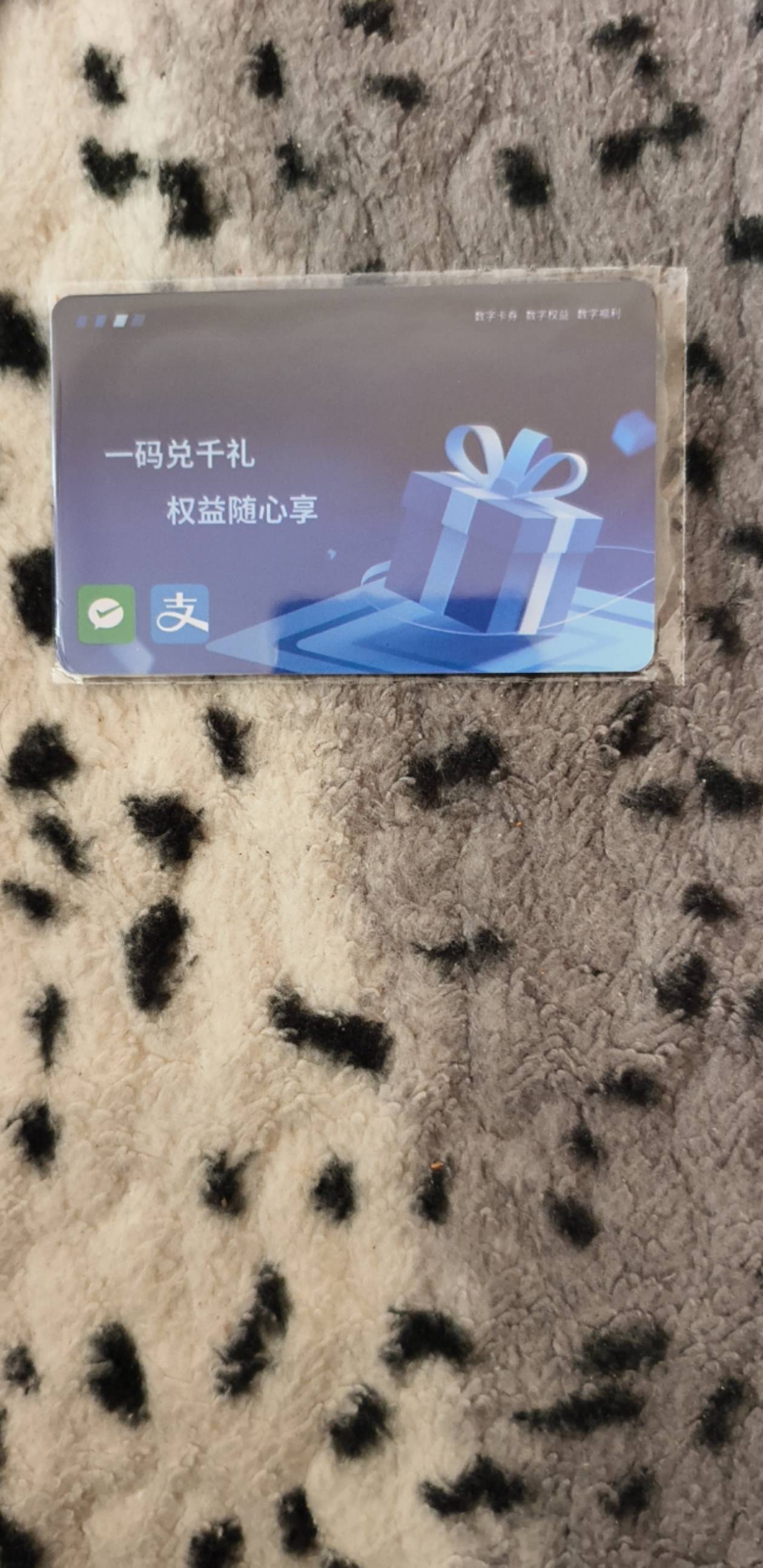 老哥们宜口袋的这个到了请问哪个优酷一年的在哪里领取啊

18 / 作者:秋到冬来 / 