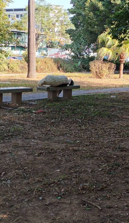 哪位老哥

35 / 作者:富士山下147 / 