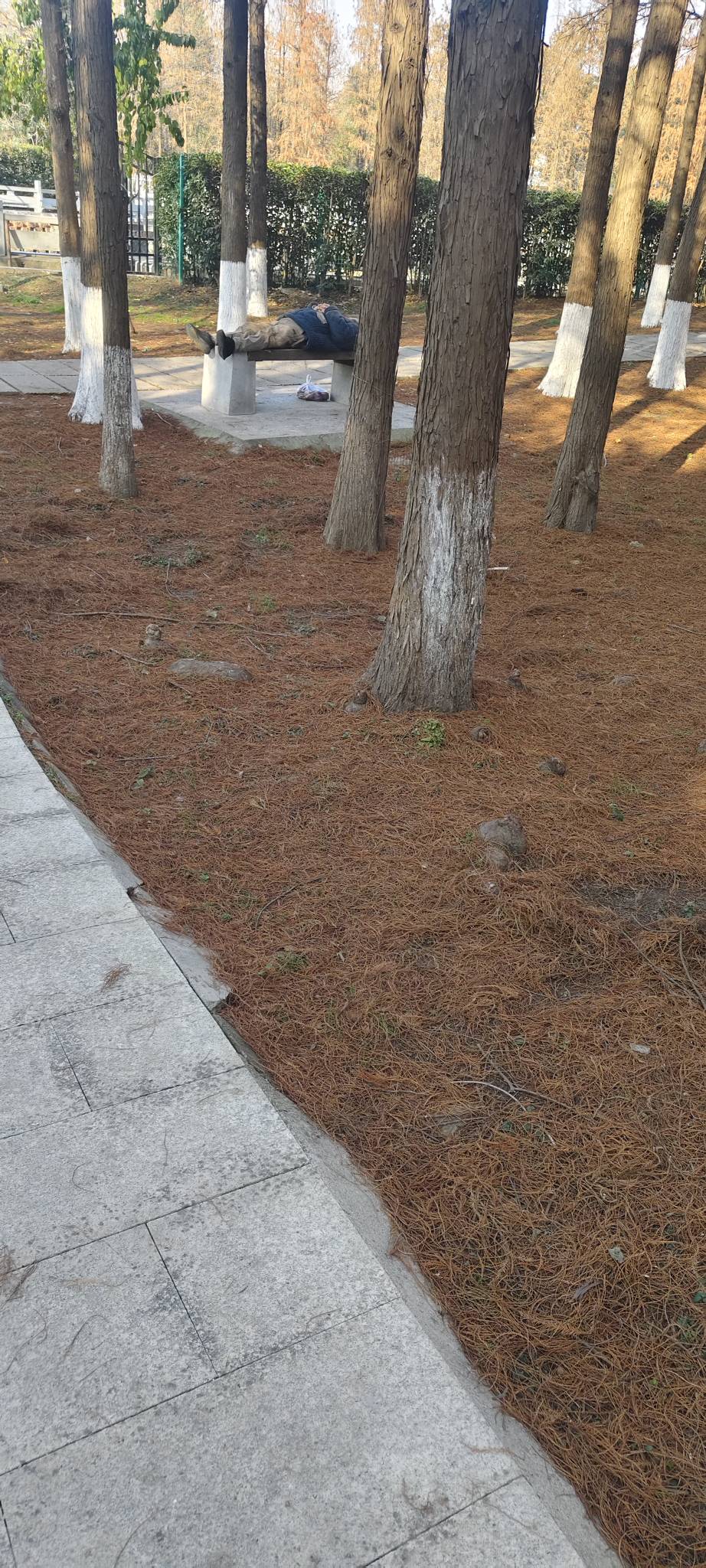 哪位老哥在睡觉还打呼噜，好大声

51 / 作者:尖沙咀靓坤 / 