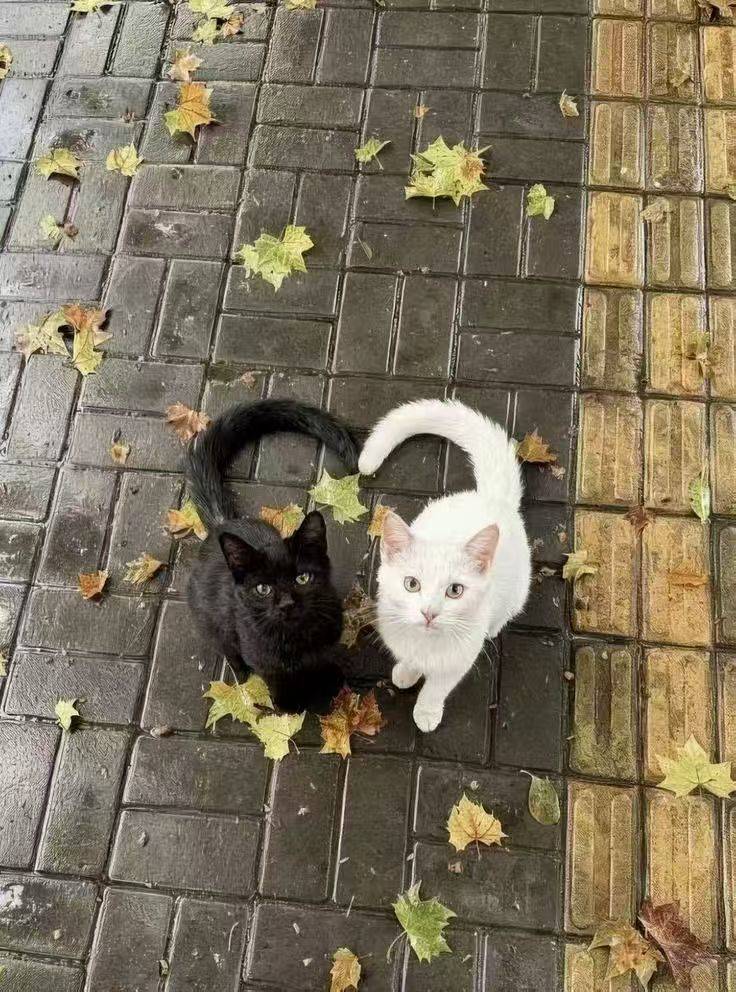 老哥们现在身上还有六千多能不能回家过年

19 / 作者:几把毛都没有绝望了 / 