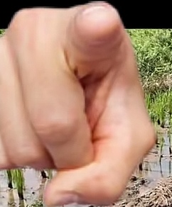 大半夜没人也卡，吃那么多灰产广告费，优化点服务器吧，别吃相太难看

69 / 作者:吼烦丶 / 