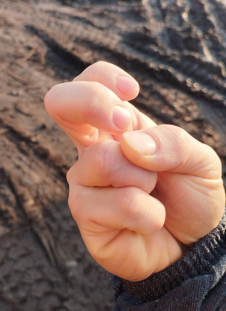 今天的卡农怎么回事？时而卡时而出现拼音

25 / 作者:果然一道 / 