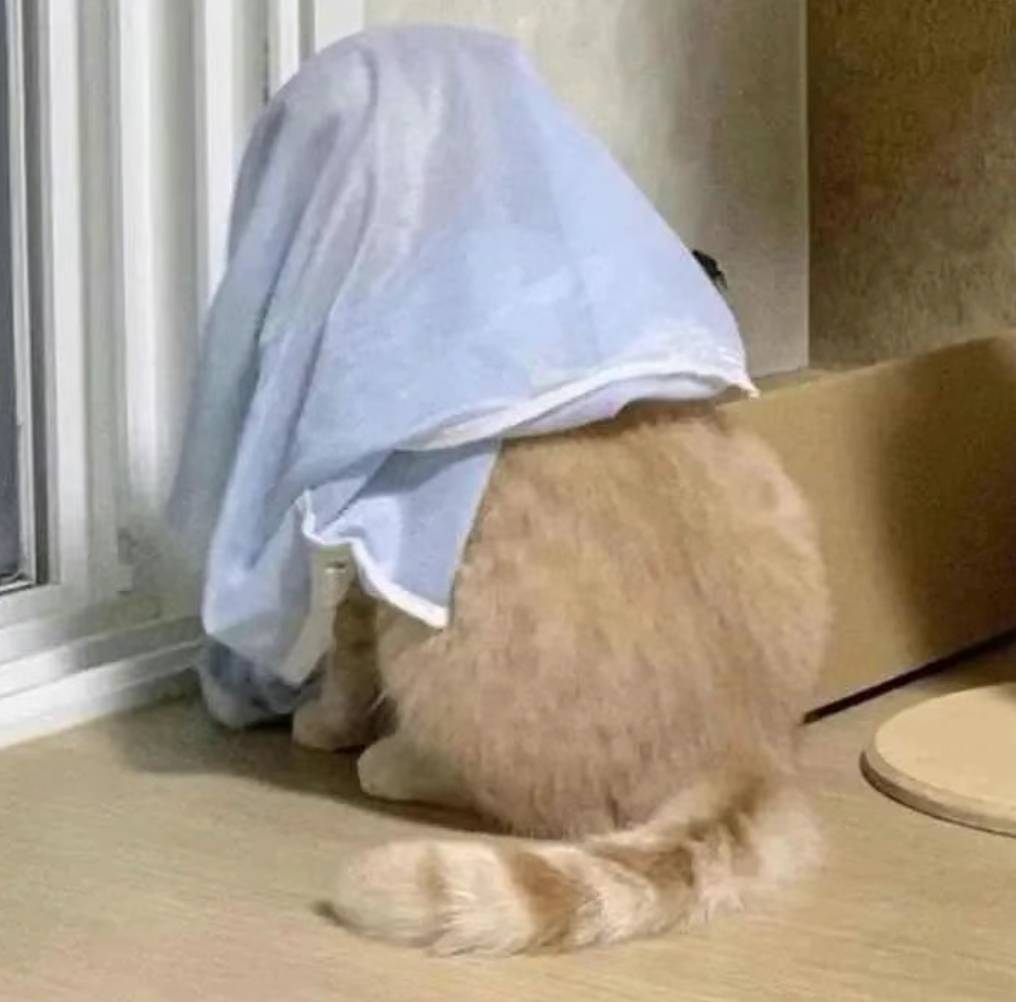 易安奖励茶票没到的等周一，不建议现在提现，在查机刷，等等吧。

58 / 作者:yz爱你 / 