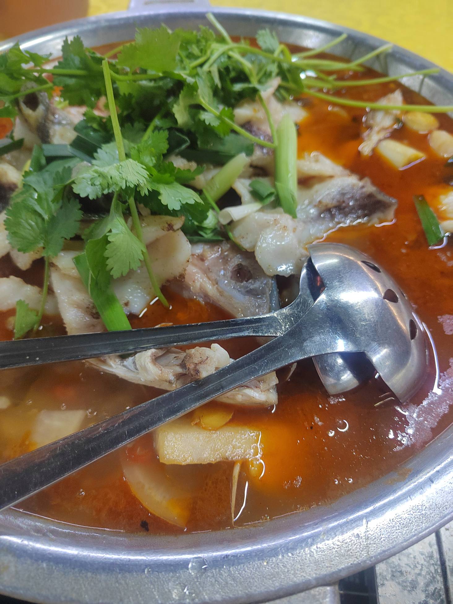 老哥们一般健身房年卡多少钱？我不想再挂壁了，现在感觉我走路都没劲，整个人软绵绵的22 / 作者:澳村还我奔驰E / 