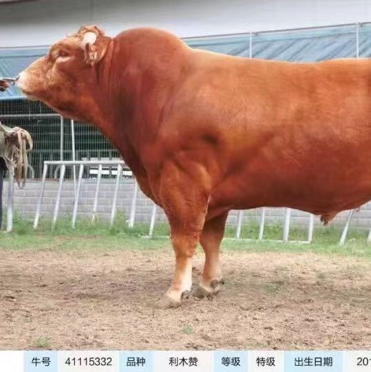 老哥们，这个京东有毒，美团20分钟就送过来，这送了1个多钟，以后从此不点，

86 / 作者:晋王杨广 / 