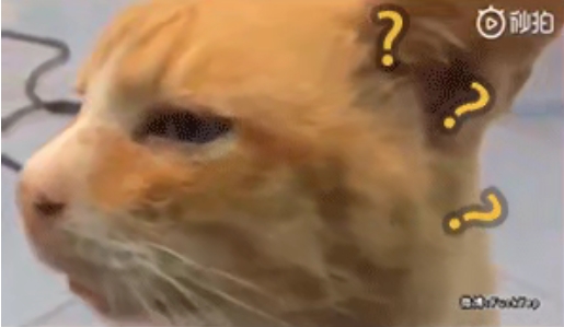 2张28润跑了，懒得卷了，主要是快，下午3点前就能拿到钱吃饭了，饿晕了，美滋滋

15 / 作者:离魂洛 / 